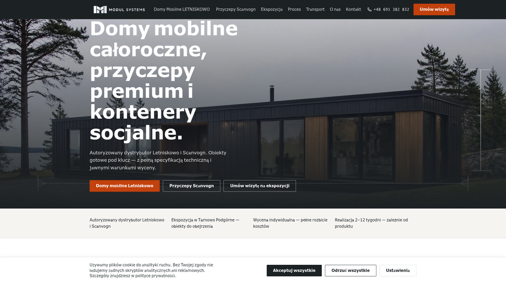 Nowoczesny projekt strony internetowej wykonany dla firmy z Wielkopolski